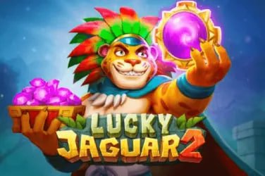 du81 app Bingo ဂိမ်း